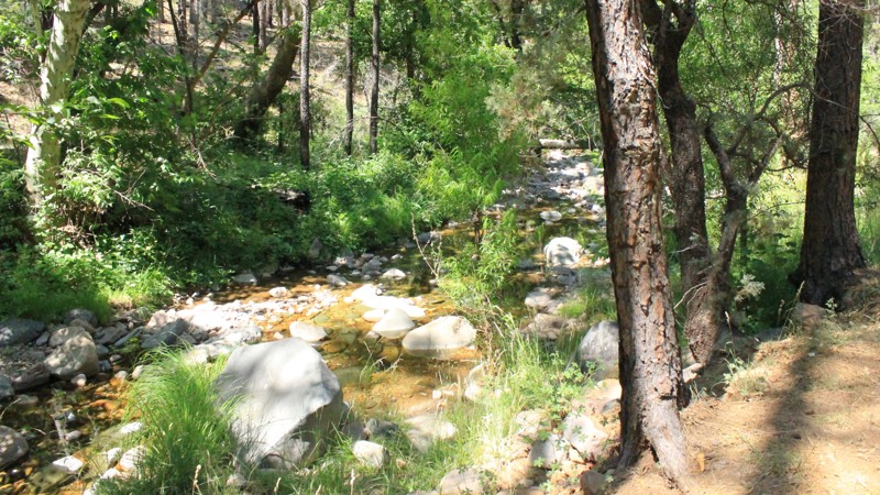 Arizona: Reynolds Creek Hero Photo