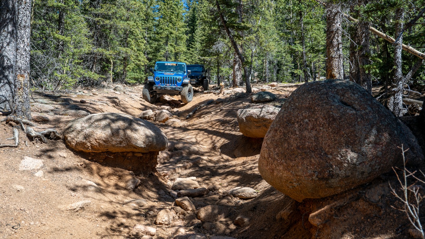 Saran Wrap - Best Trails