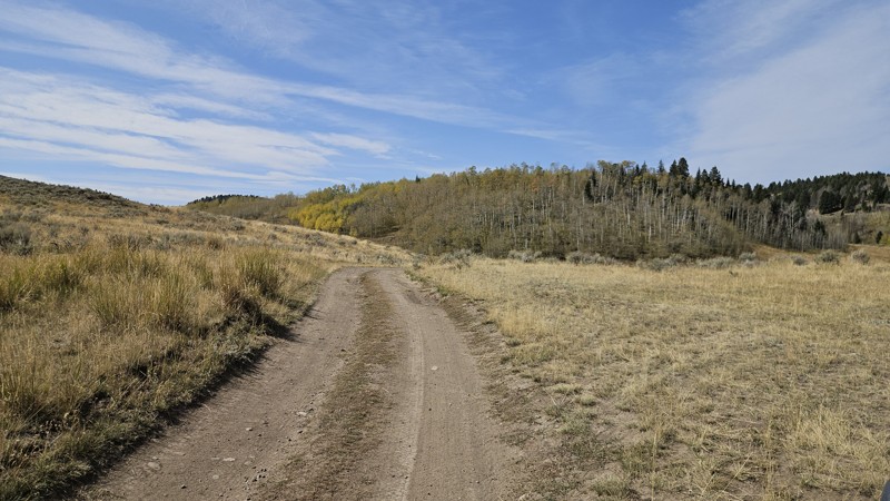 Conklin Lake Trail Review Photo