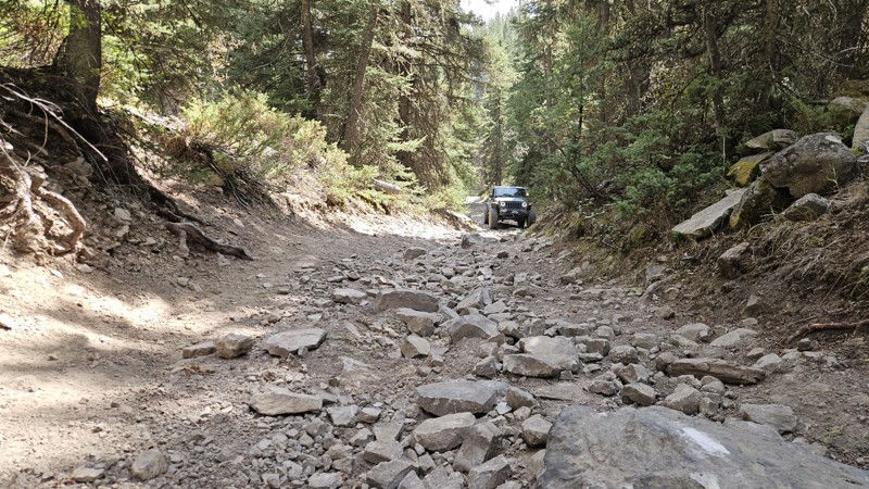 Conklin Lake Trail Review Photo