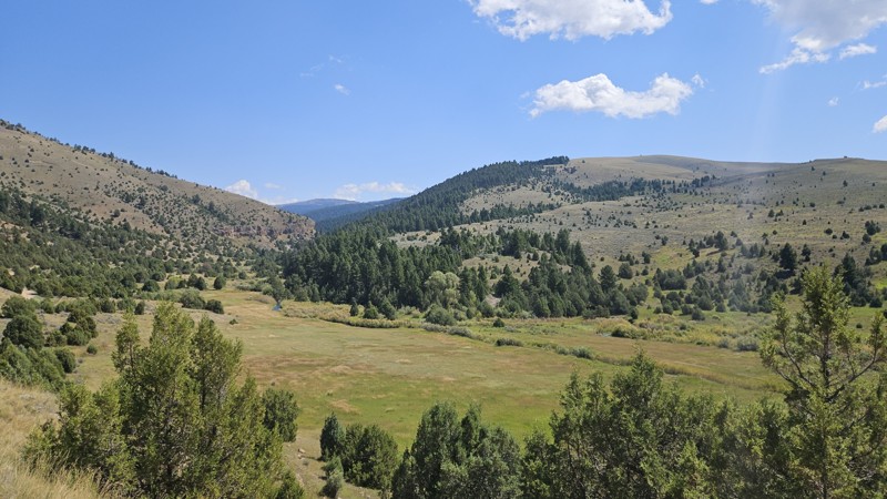 Warm Springs Creek Trail Review Photo