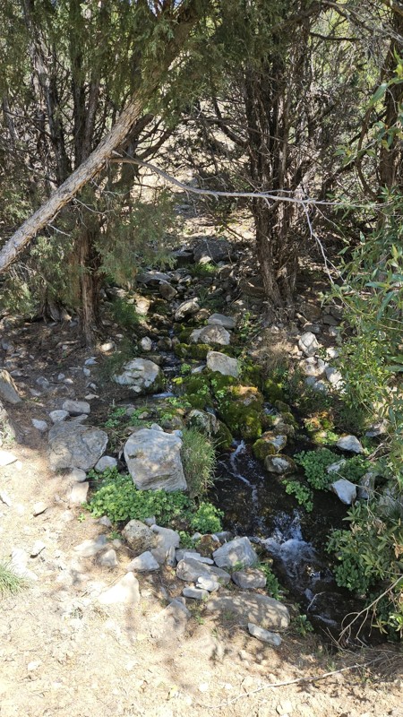 Warm Springs Creek Trail Review Photo