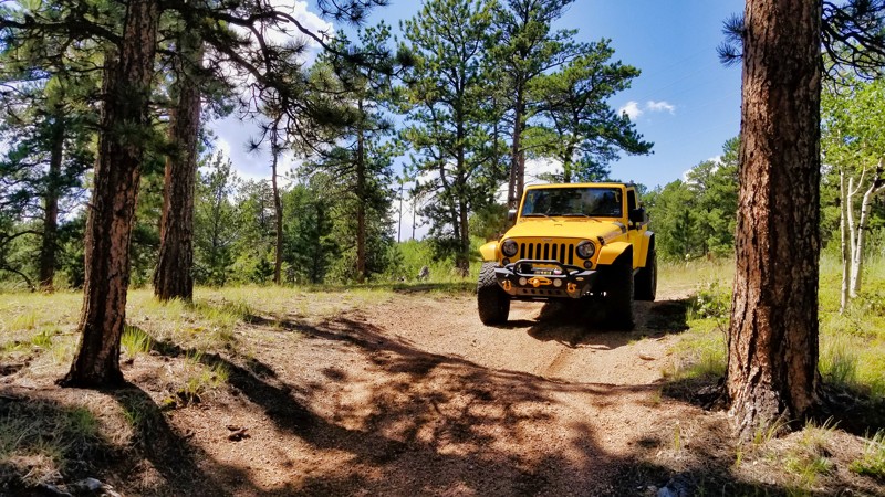 Colorado: Ensign Gulch Hero Photo