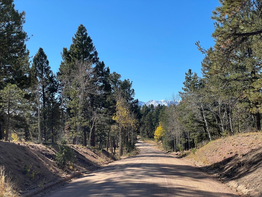 Trail Review: Schubarth Road - Shane