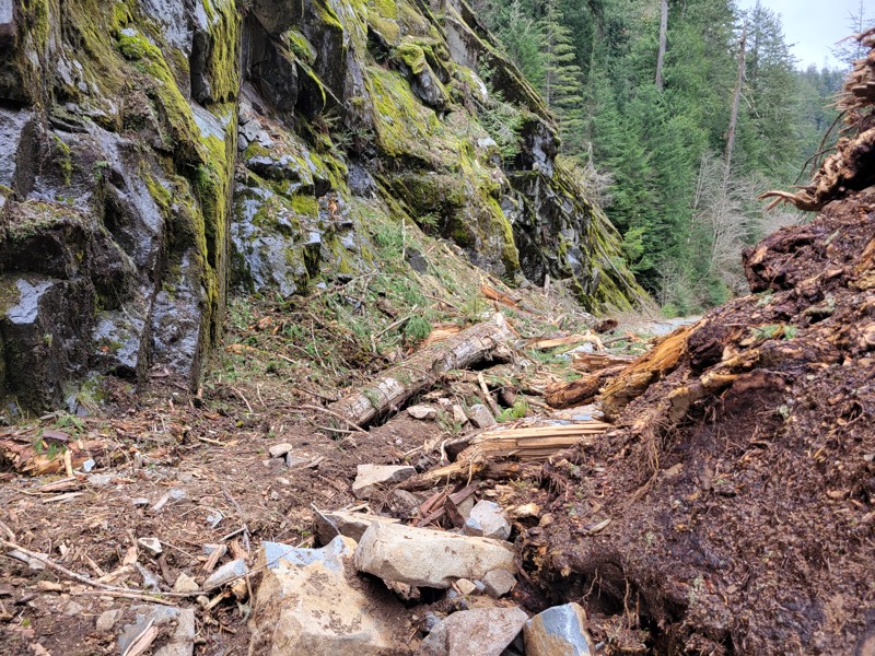 Lennox Creek Trail Review Photo