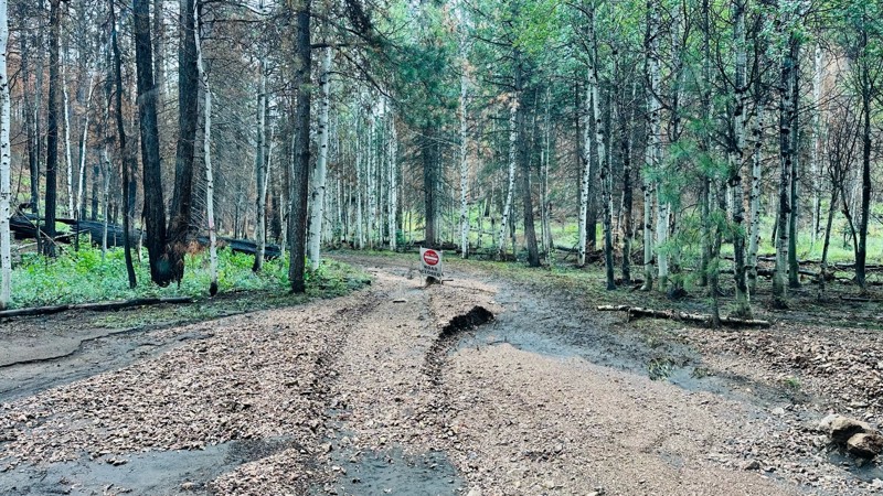 Point Sublime Trail Review Photo