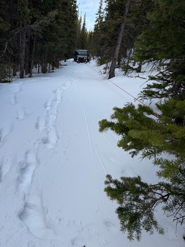 Yankee Mosquito (Kingston Peak Cutoff) Trail Review Photo