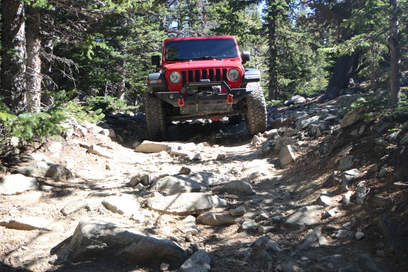 Yankee Mosquito (Kingston Peak Cutoff) Trail Review Photo