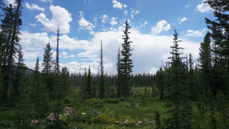 Utah: Frog Pond Hero Photo