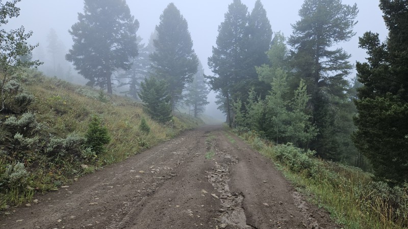 West Fork Denny Creek Trail Review Photo