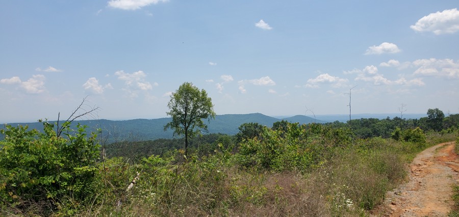 Calbeck Road Trail Review Photo