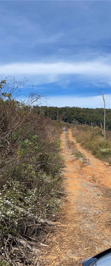 Calbeck Road Trail Review Photo