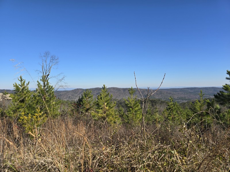Calbeck Road Trail Review Photo