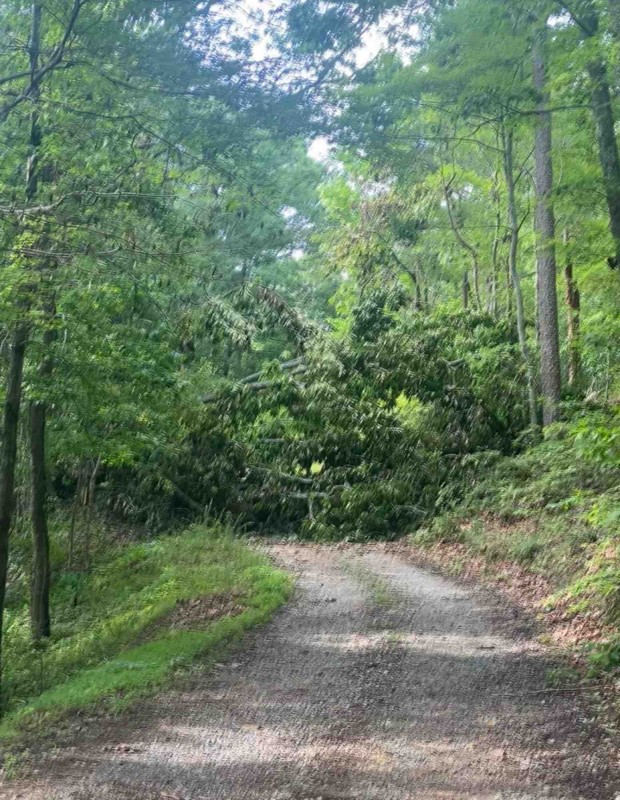 Calbeck Road Trail Review Photo