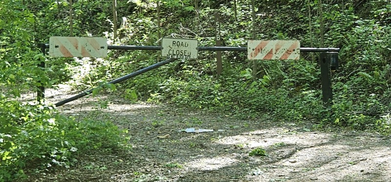 Calbeck Road Trail Review Photo