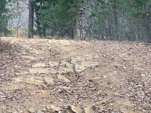 Dunaway Gap Road Trail Review Photo