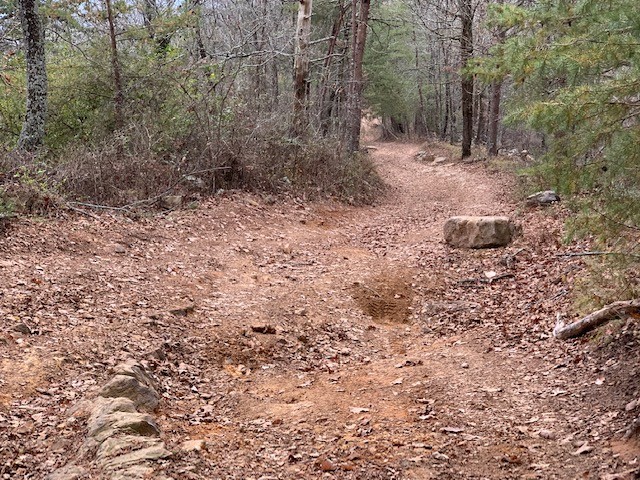Dunaway Gap Road Trail Review Photo