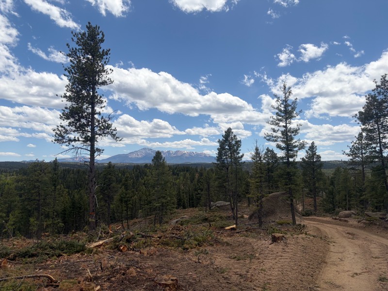 Powerline South Road Trail Review Photo
