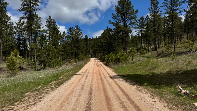 Lightning Creek Road Trail Review Photo