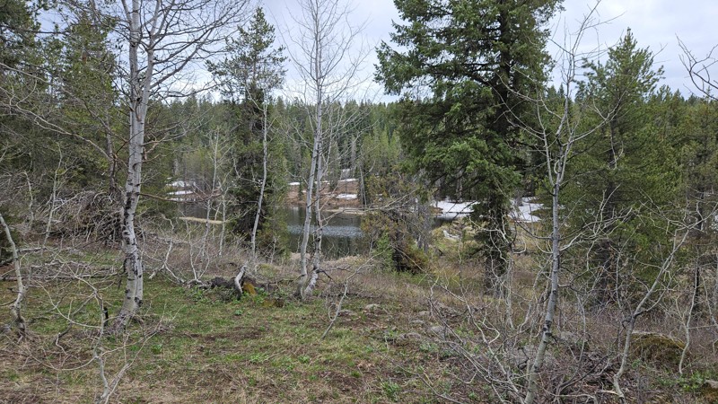Cave Falls Trail Review Photo