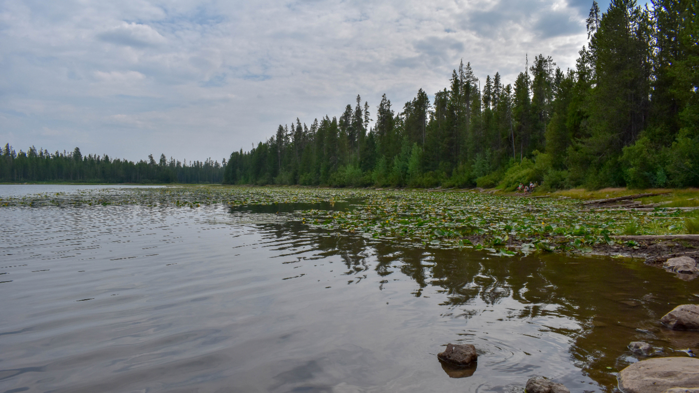 Horseshoe Lake Idaho Offroad Trail