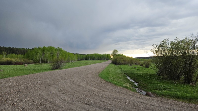 Horseshoe Lake Trail Review Photo