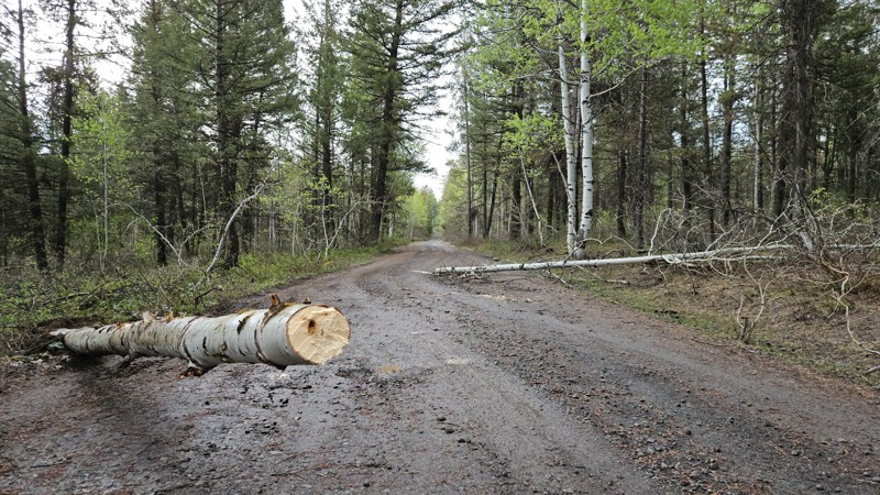 Horseshoe Lake Trail Review Photo