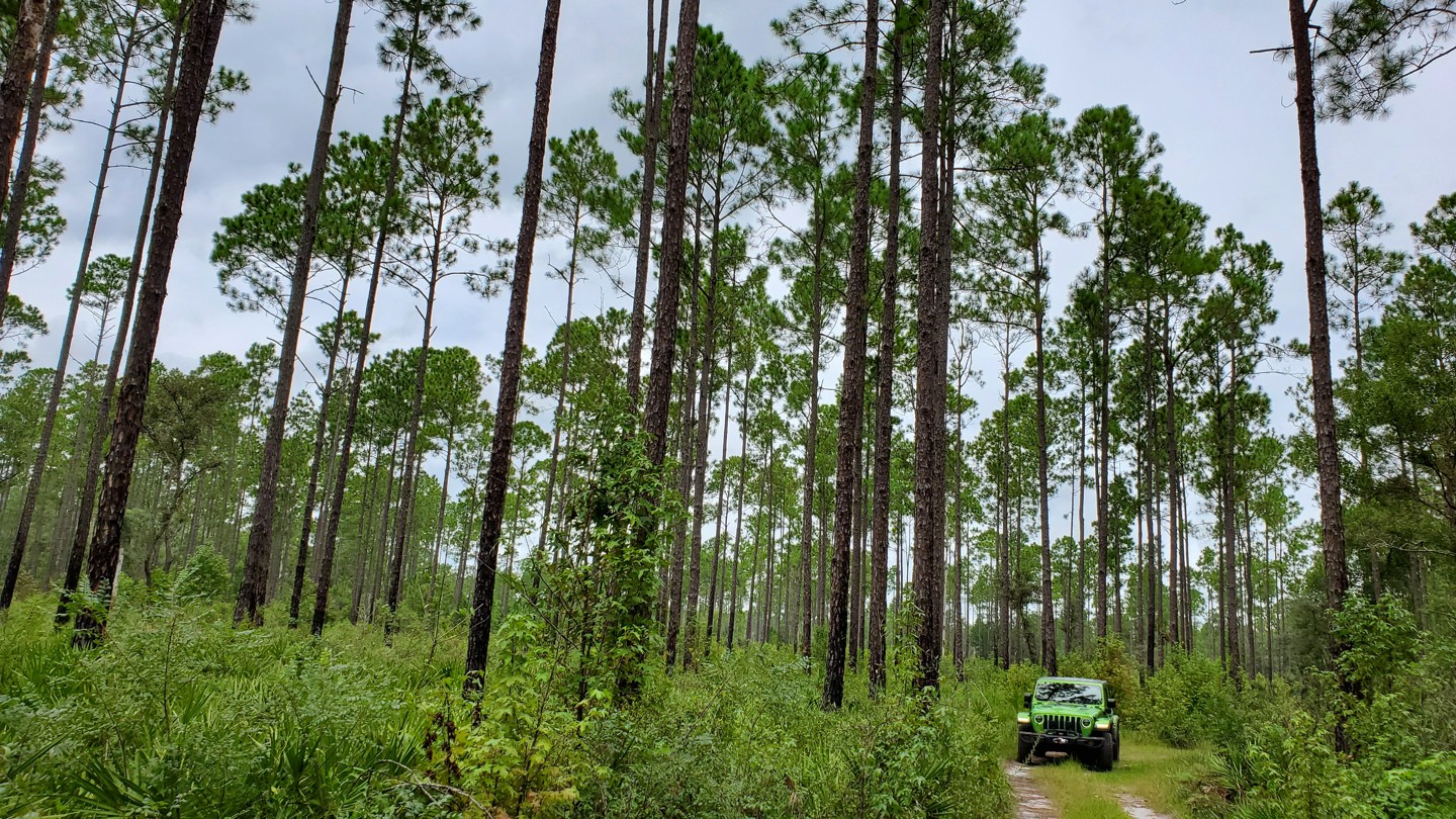 Richloam - North Boggy Road  - Best Trails