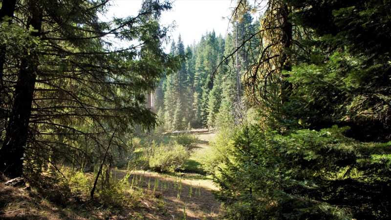 Idaho: Timber Flat Hero Photo
