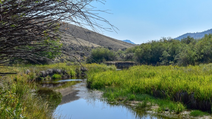 Bannack Road Trail Review Photo