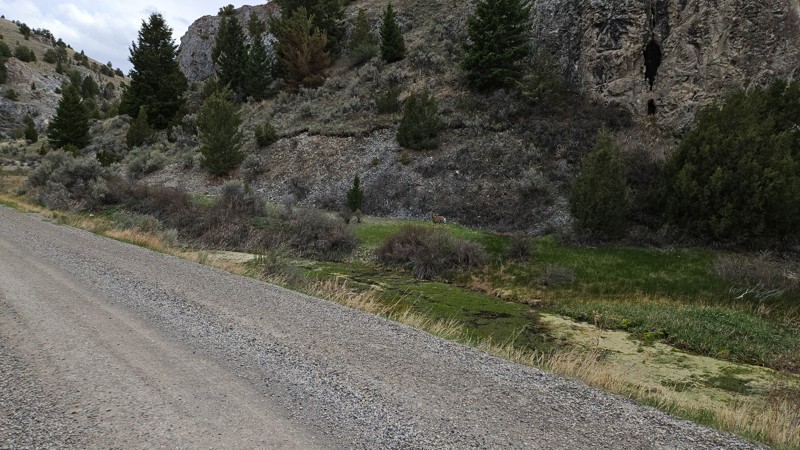 Big Sheep Creek Road Trail Review Photo