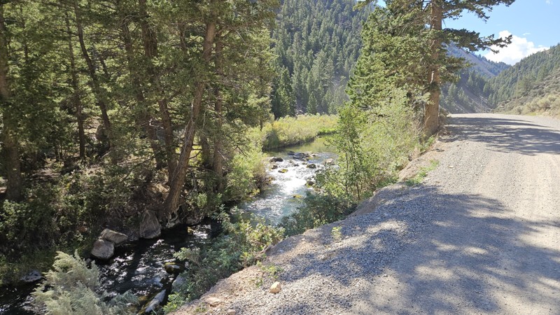 Big Sheep Creek Road Trail Review Photo