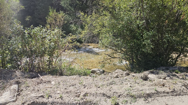Big Sheep Creek Road Trail Review Photo