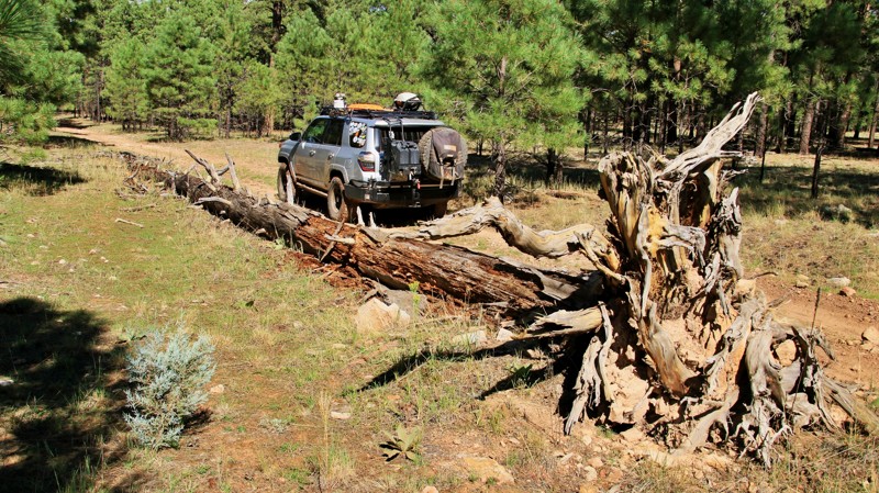 Arizona: FR 513A Hero Photo