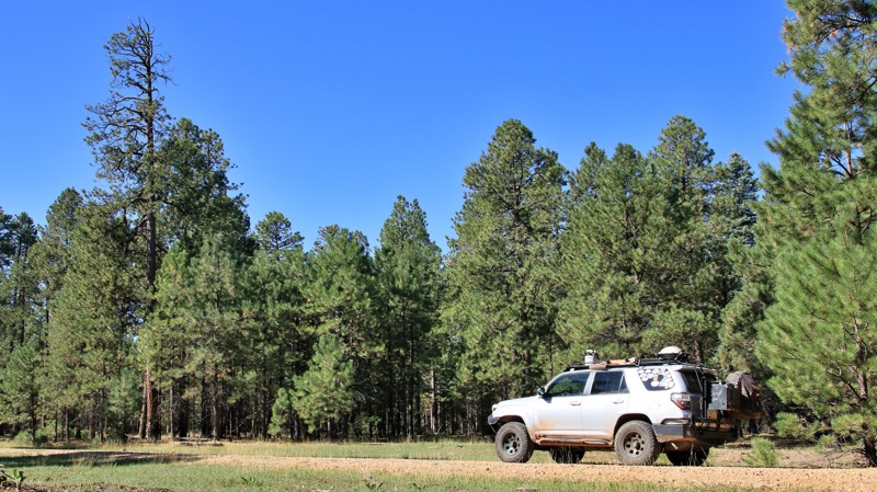 Arizona: Dane Ridge Hero Photo