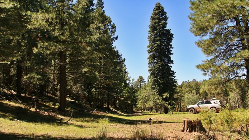 Arizona: Buck Springs Hero Photo