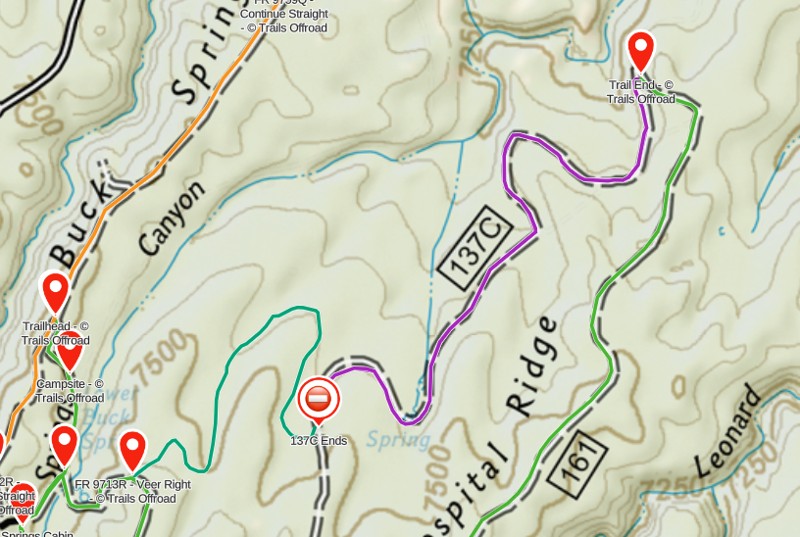 Buck Springs Trail Review Photo