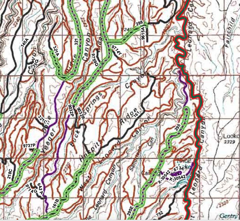 Buck Springs Trail Review Photo