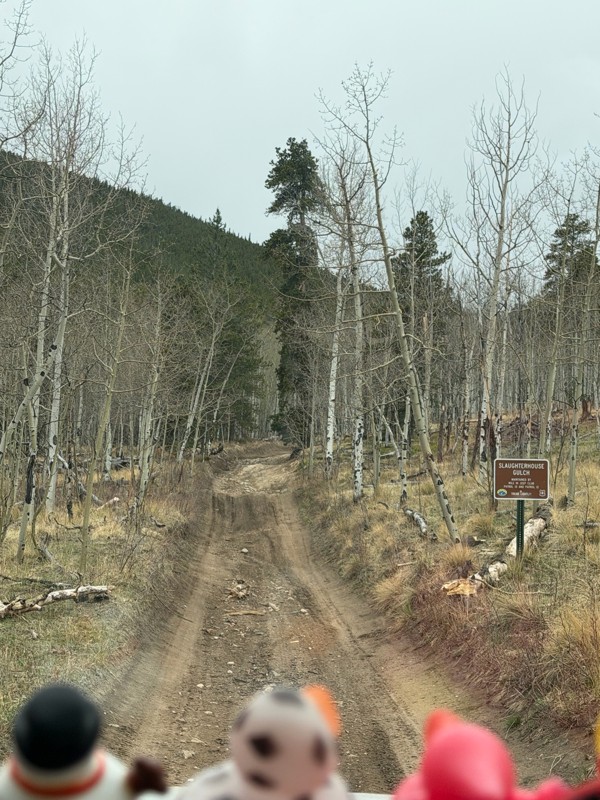 Slaughterhouse Road (aka Slaughterhouse Gulch) Trail Review Photo