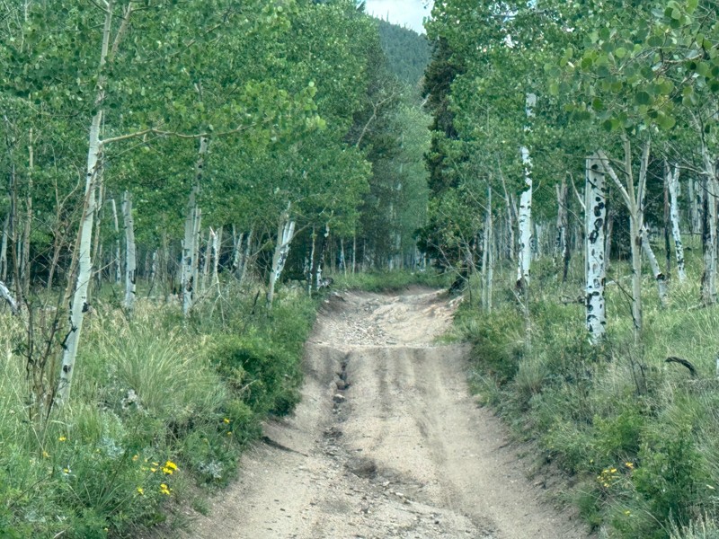 Slaughterhouse Road (aka Slaughterhouse Gulch) Trail Review Photo
