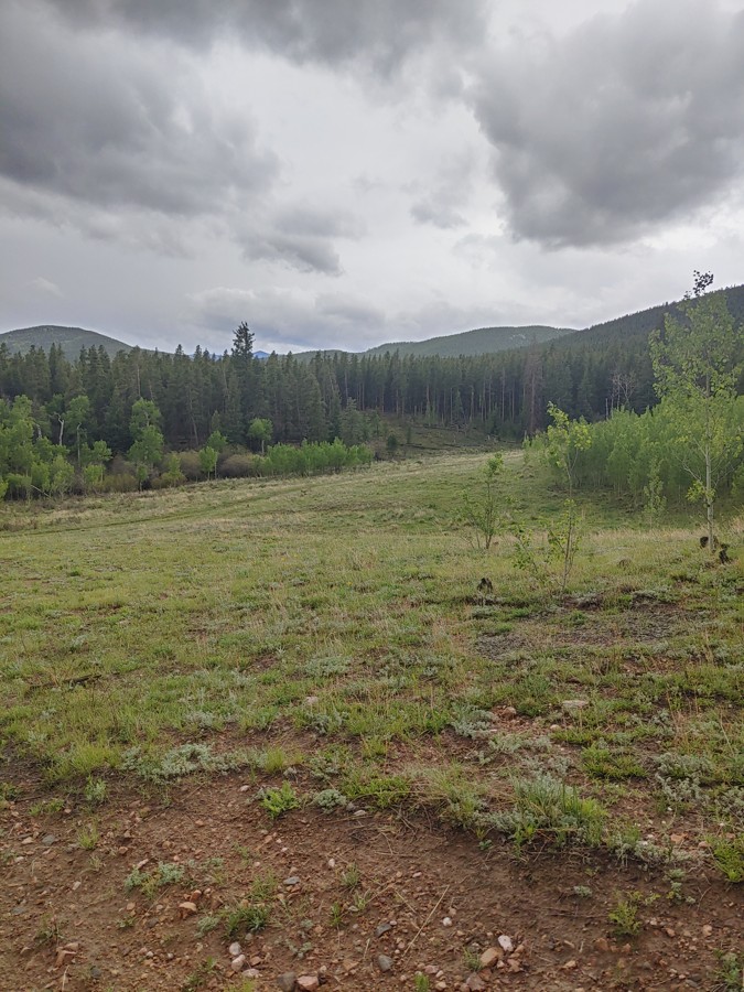 Trail Review: Slaughterhouse Road (aka Slaughterhouse Gulch) - Shane Mattox