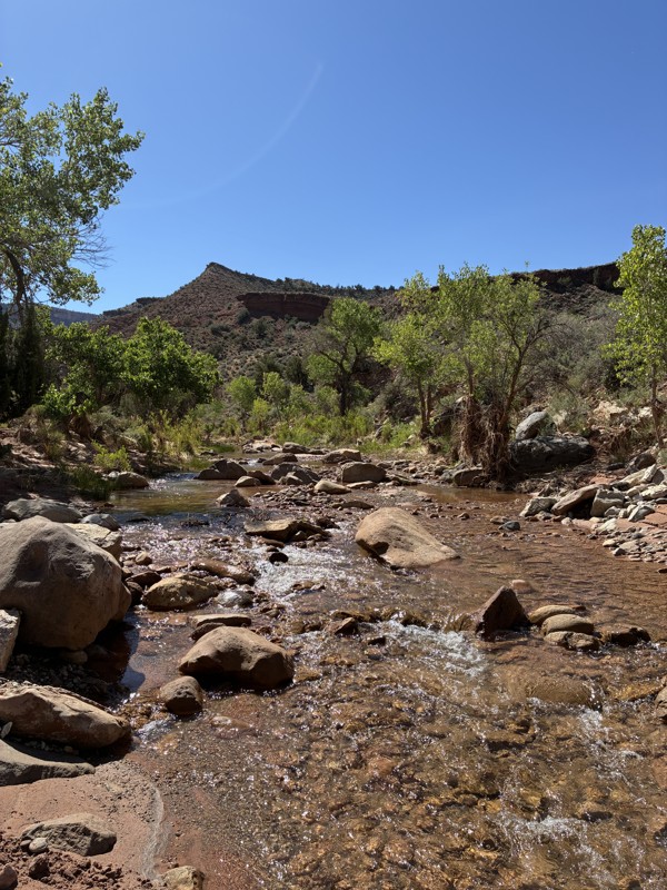 Rattlesnake Gulch Trail Review Photo