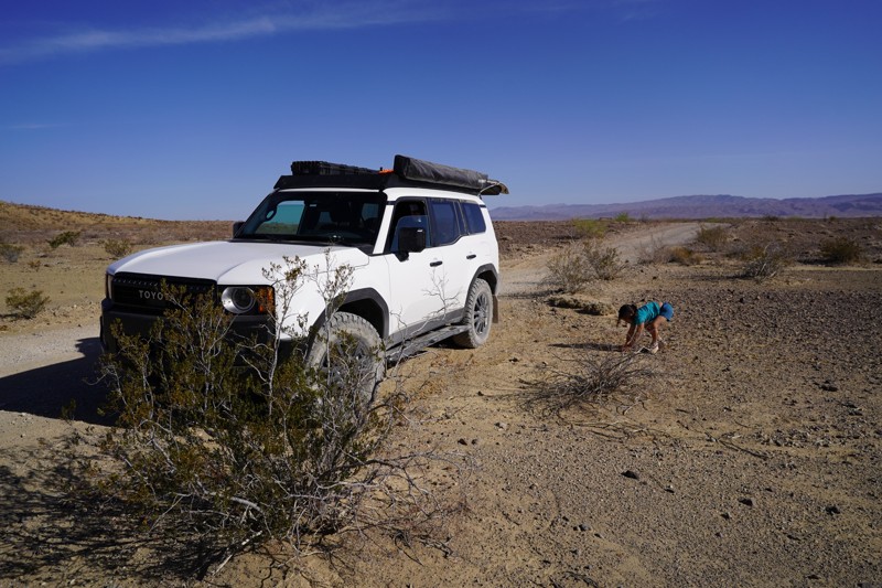 River Road Trail Review Photo