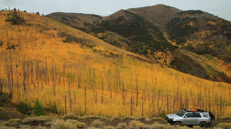 Utah: Bull Creek Pass Hero Photo