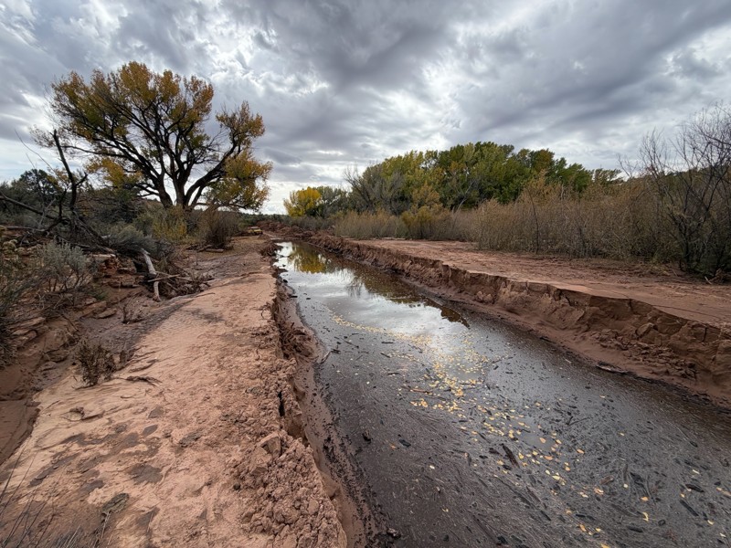 South Cottonwood Road Trail Review Photo