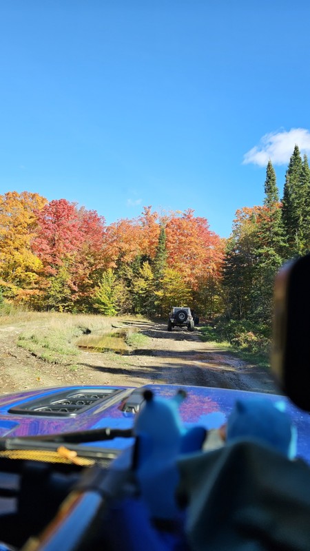 Nemesis Trail Review Photo