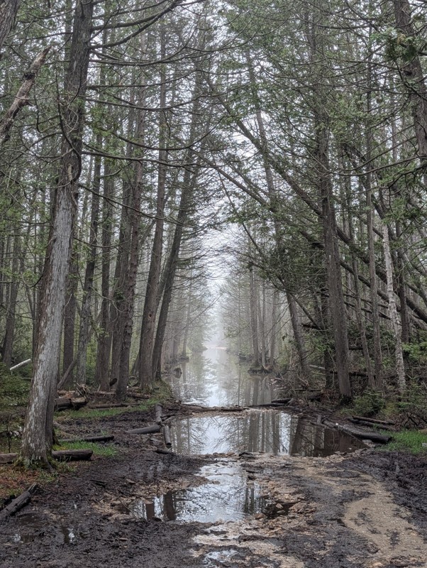 Sheep Ranch Trail Trail Review Photo
