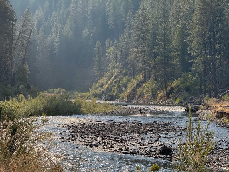 Middle Fork Road Trail Review Photo