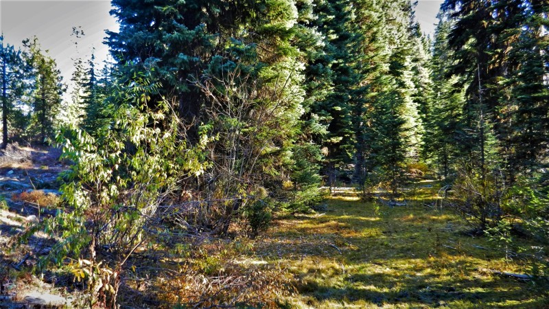 Idaho: Pine Creek Meadow Spur Hero Photo