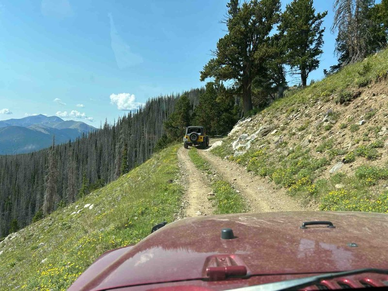 Taylor Mountain Trail Review Photo